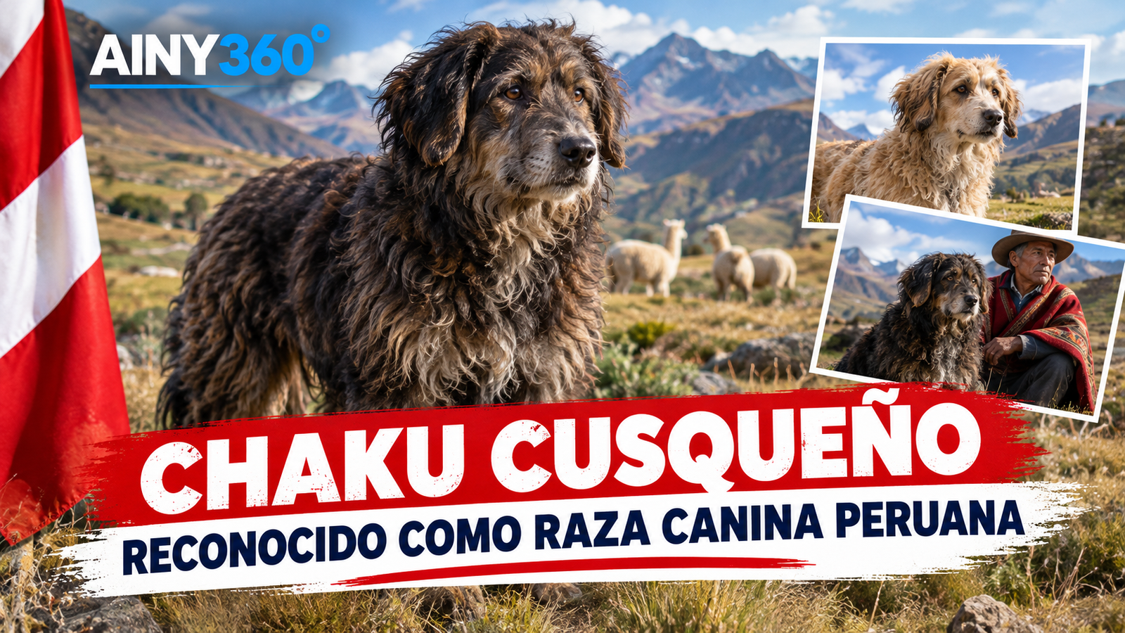 Chaku Andino: la Historia del Perro Pastor que se Convirtió en Orgullo del Perú